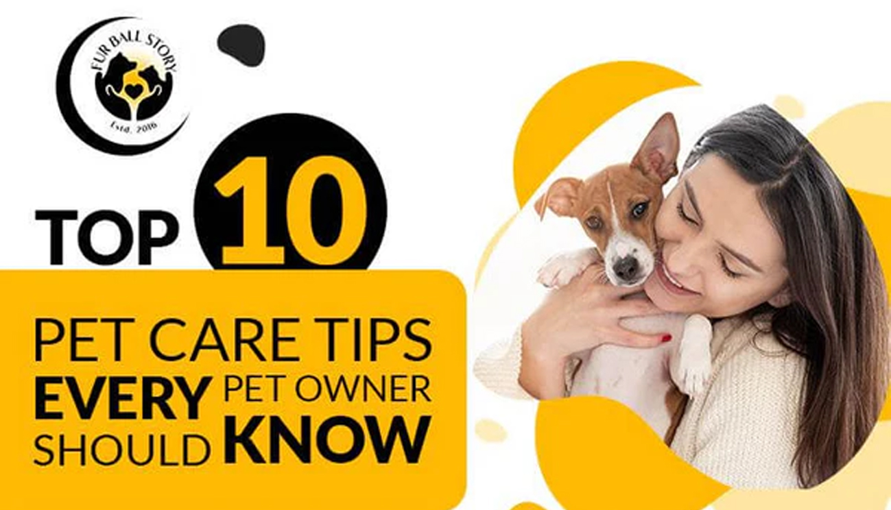 Participant-Engagement-And-Pet-Care-Tips-Also-Read-Section